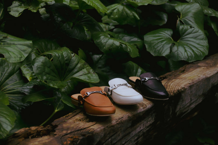 Blank Canvas - O começo de tudo